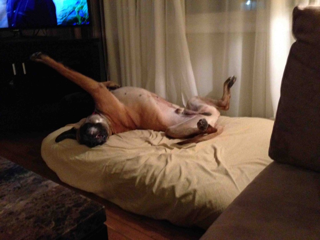 Logan lounging on his bed