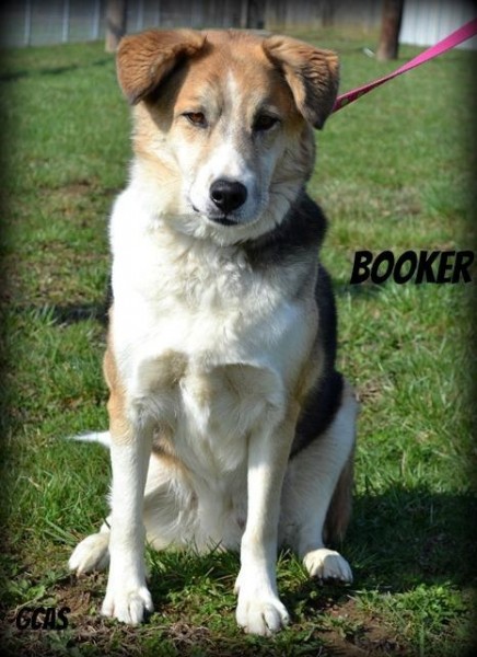 Booker